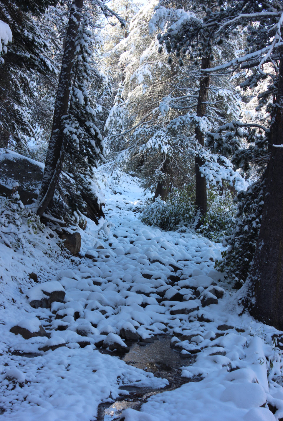 deer-valley-4wd-trail-hike